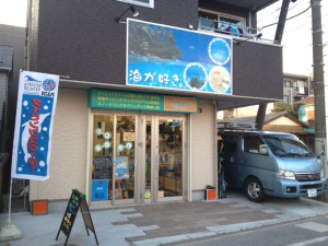 shop01